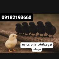 کرم ضدآفتاب