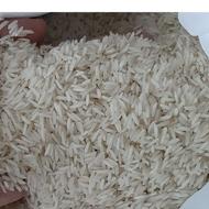 برنج طارم هاشمی دوباره نوج کشت