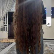 خرید موی خام ورنگی