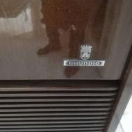 رادیو ترانسیستوری با گرام