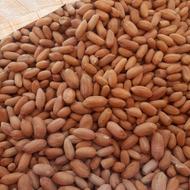 بادام زمینی گلی آفتاب خشک