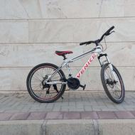 دوچرخه 24 تنه بزرگ