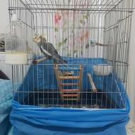 قفس پرنده استیل درجه یک
