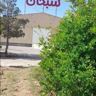 استخدام نیروی زن