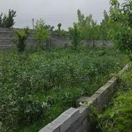 فروش زمین 204 متری واقع در بابل روستای مرزون آباد باریکلا