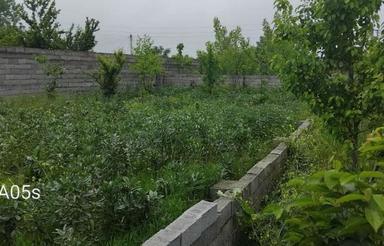 فروش زمین 204 متری واقع در بابل روستای مرزون آباد باریکلا