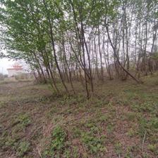 فروش زمین مسکونی 463 متر در شهرک انصاری