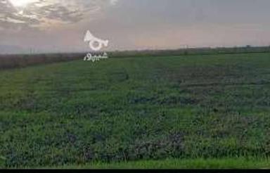 زمین کشاورزی روستای ریحان آباد