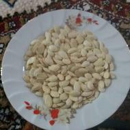 کدو خوی درجه یک
