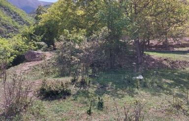 فروش زمین مسکونی 200 متر در پلریه