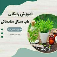 آموزش طب سنتی و کسب درآمد