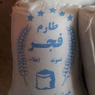 برنج هاشمی و برنج فجر