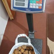 گردوی تازه و خوشمزه.