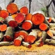 خرید همه مدل چوب و درخت باغی و موووریشه