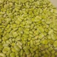 مغز باقالا