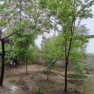 فروش خانه ویلایی