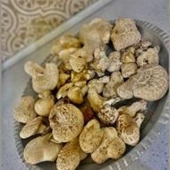قارچ کوهی کموش اگله گوشک
