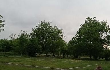 فروش زمین مسکونی 200 متر شهرکی کورکا 