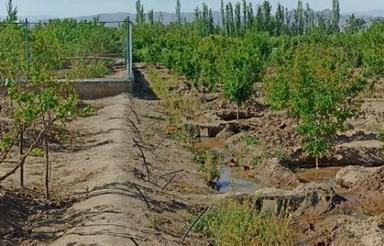 فروش باغ در روستای اربطان