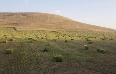 زمین کشاورزی