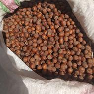 فندق گیلان/ اشکورات