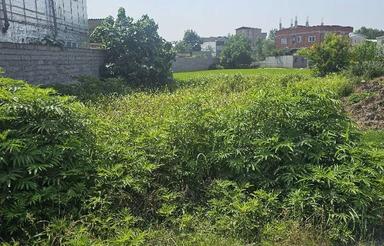 230 متر زمین بر اتوبان بابل ب قائمشهر ،محدوده گرجی آباد