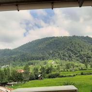 خونه رو به جنگل