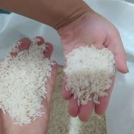 برنج طارم هاشمی بوجاری