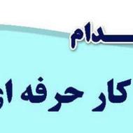 به تعدادی کارگرماهروساده برای بسته بندی مرغ