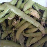 فروش باقالی
