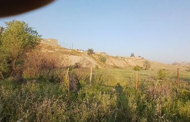 زمین پاریو کاربری باغ