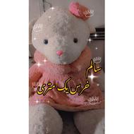 عروسک بزرگ