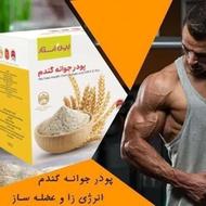 پودر جوانه گندم بین استار