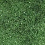 سبزی خشک ،تولید می کنم