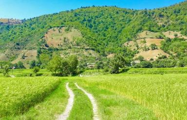زمین مسکونی روستای خارخون داخل بافت
