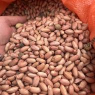 بادام زمینی آفتاب خشک گلی و اطلس نقد و شرایط