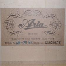 گیتار با کیس...Aria...