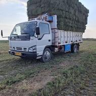 خریدار یونجه درجه یک خشک