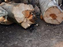 قطع خرید چوب باغی در شیپور