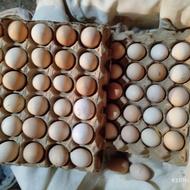 تخم مرغ محلی کرچ شو