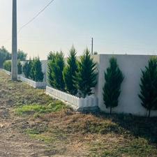 فروش زمین مسکونی 265 متر در اسفندان