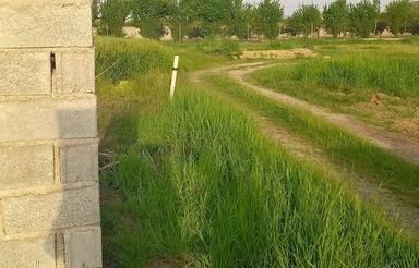فروش زمین کشاورزی 950 متر در چرخ کتی