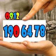 09121906478