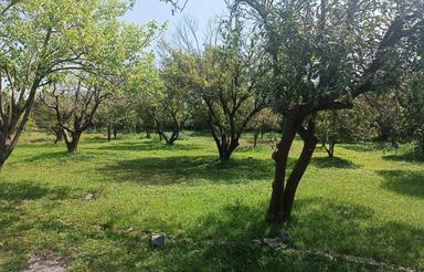 فروش باغ در بابلکنار