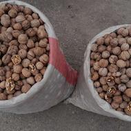گردو روغنی خوشمزه