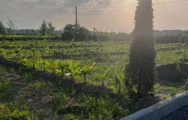 فروش زمین 50 متر در بیشه کلا سرمایه گذاری