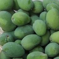 انبه درشت درجه1