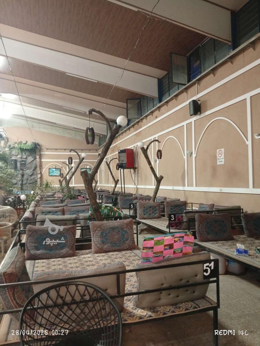 نیروی ساده جهت کافی شاب - undefined