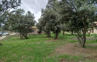 زمین مسکونی