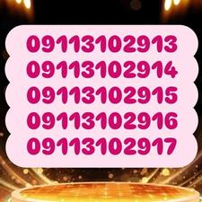 09113102913